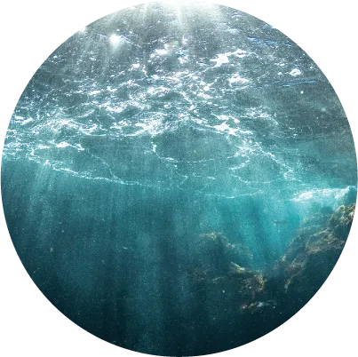 ジャニアルベンスエキス