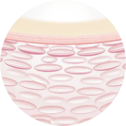 サポナリアプミラカルス<br>培養エキス